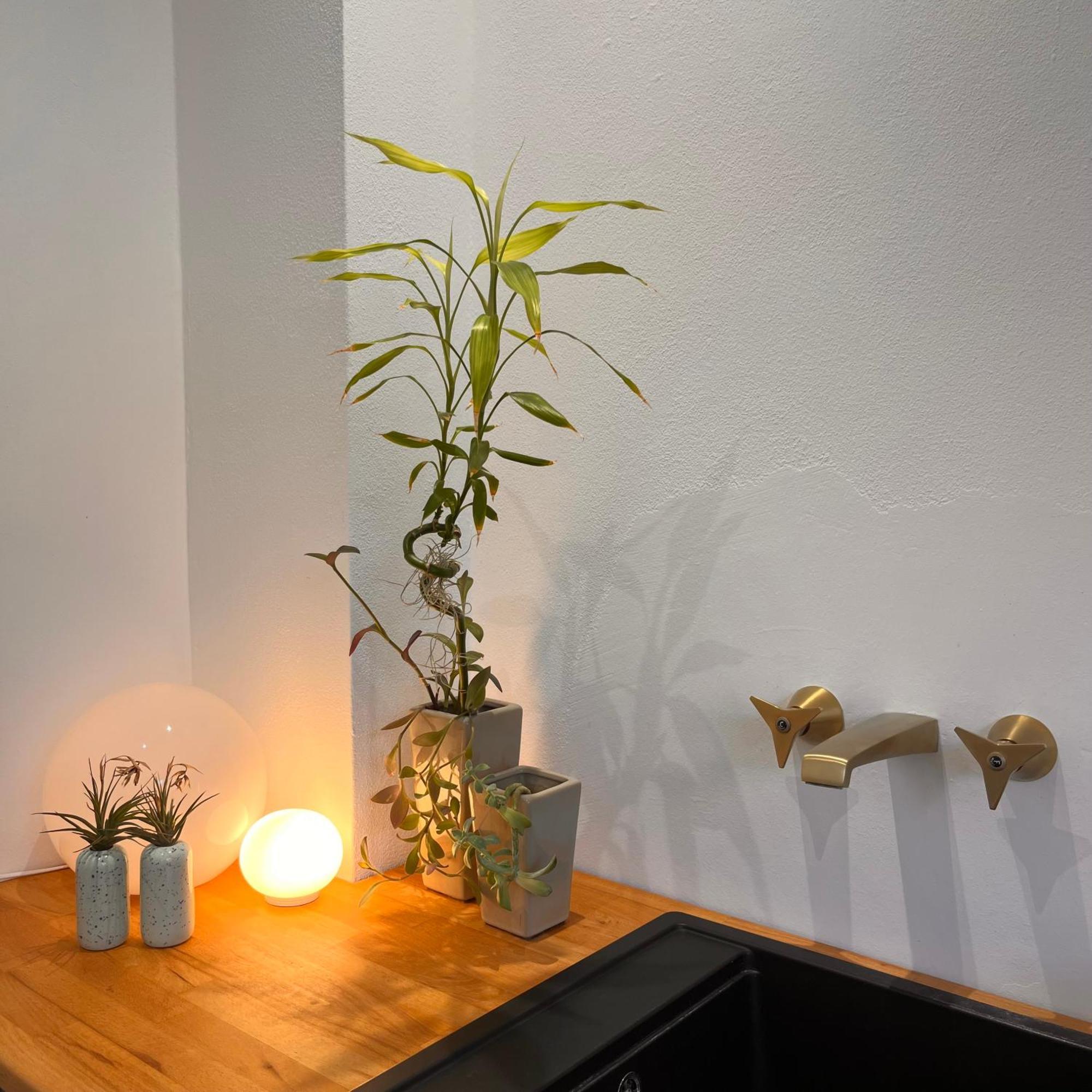Crocetta 67 - Penthouse Apartment Milan Exterior photo